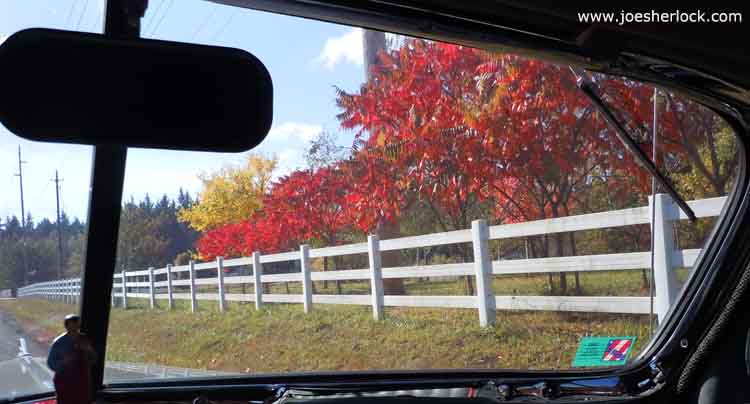 The View Through The Windshield